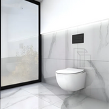 Cuvette Suspendue – Avec Abattant Soft-Close